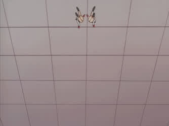Anime Ecchi Panties clip