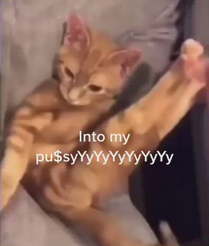 catsuit pov pussy clip