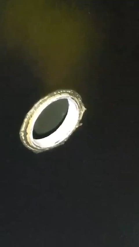 cock cock worship glory hole money sissy sissy slut sucking trans woman trans girls