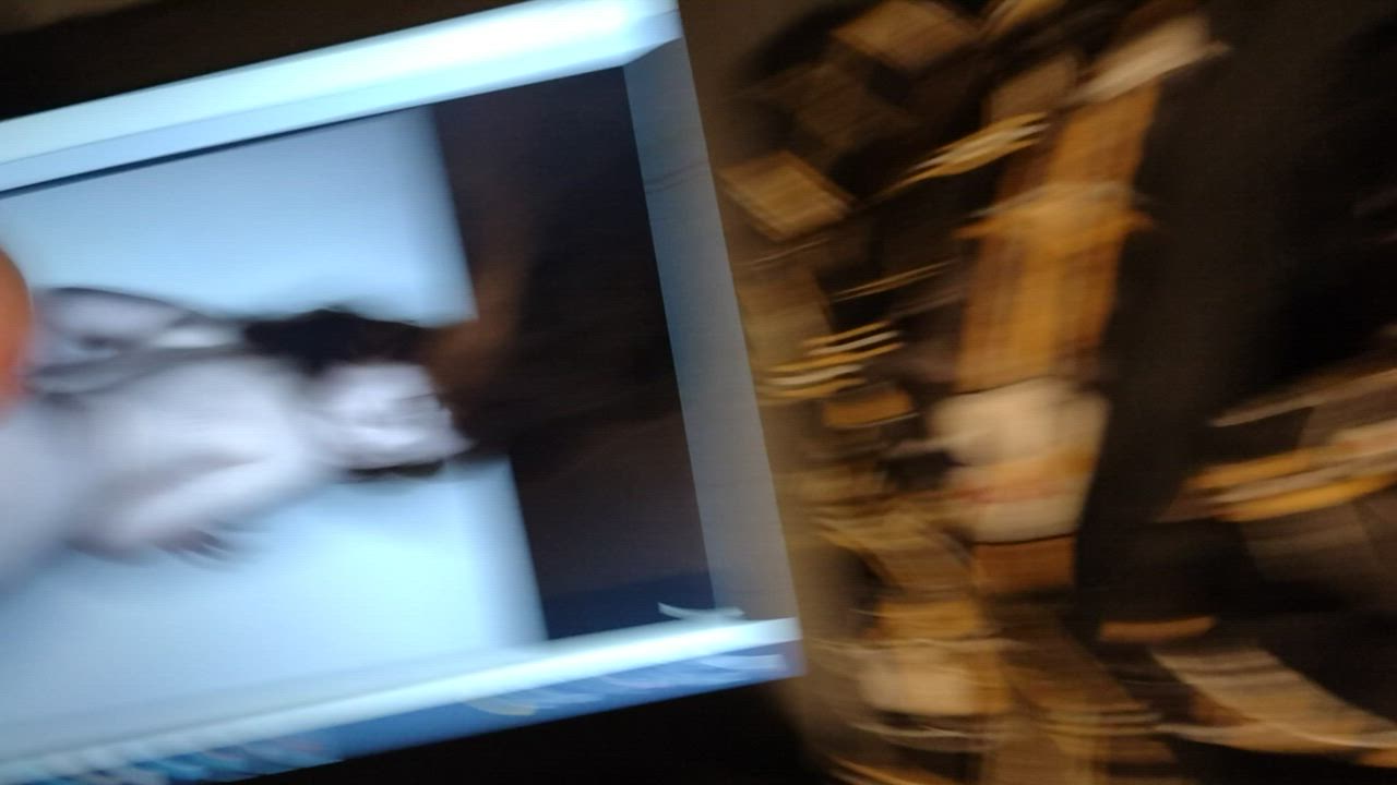Ass Girls Tribute clip