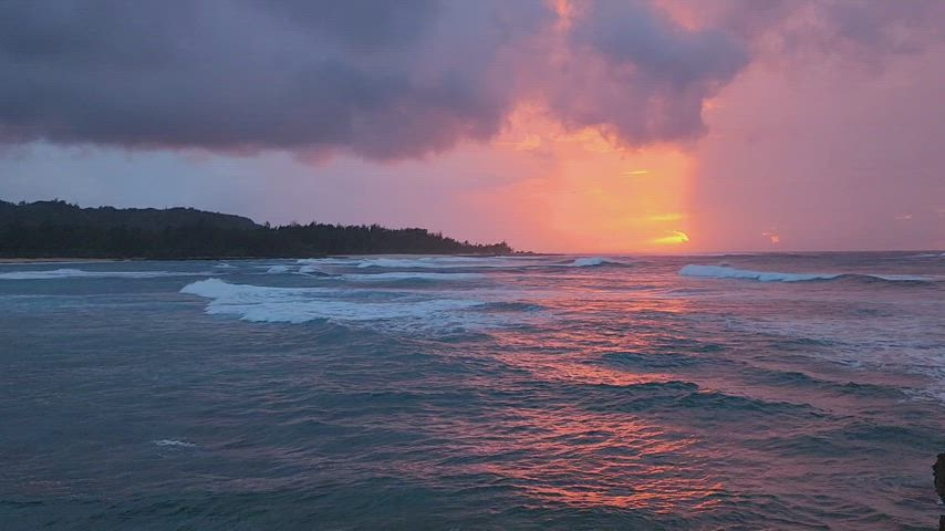 cute party public clip