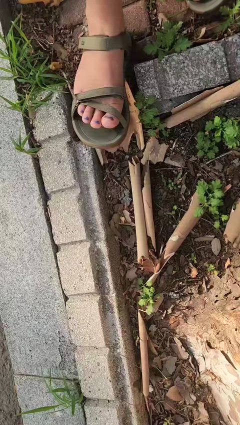 crush feet fetish sandals clip
