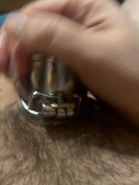chastity chastity belt chastity lynn clip