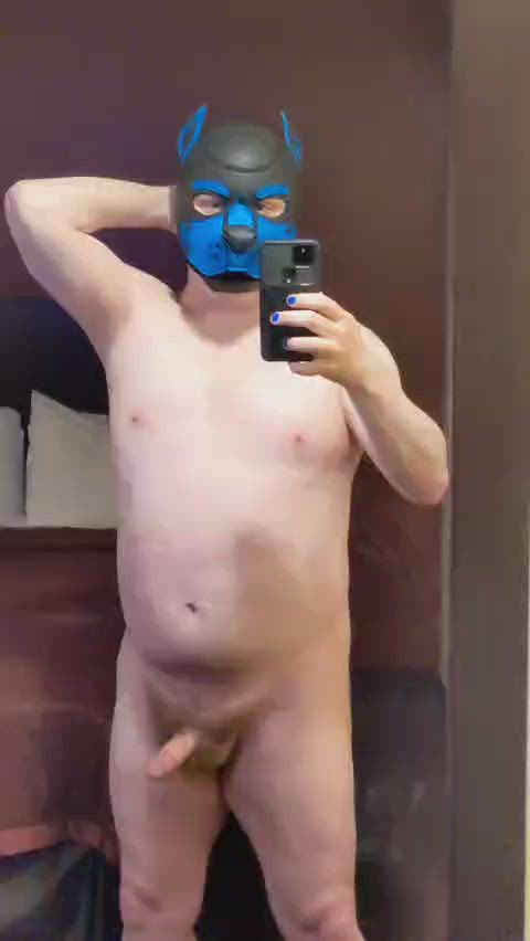 exposed gay puppy clip