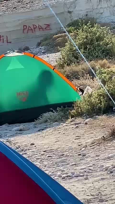 NFSW Video