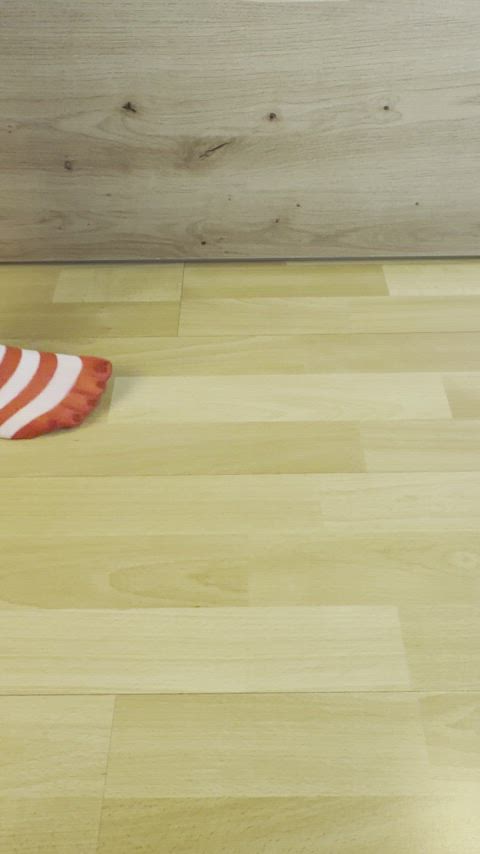 ankle socks feet feet fetish knee high socks nylons socks soles stockings clip