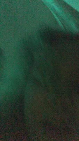 pornhub xvideos xhamster clip