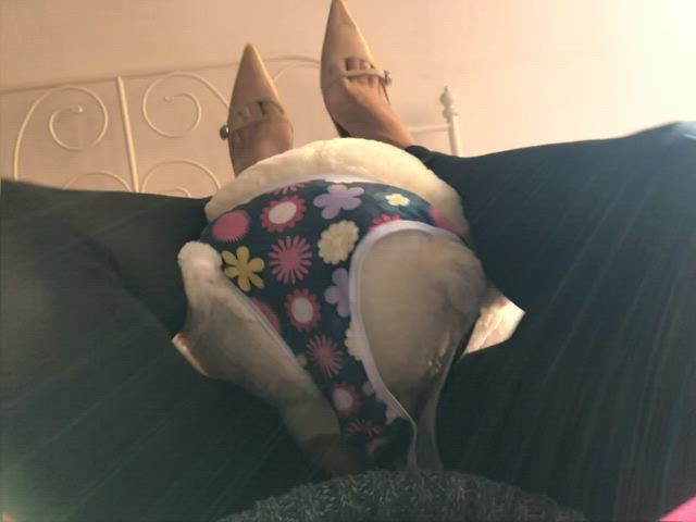 Fetish Heels Stockings clip