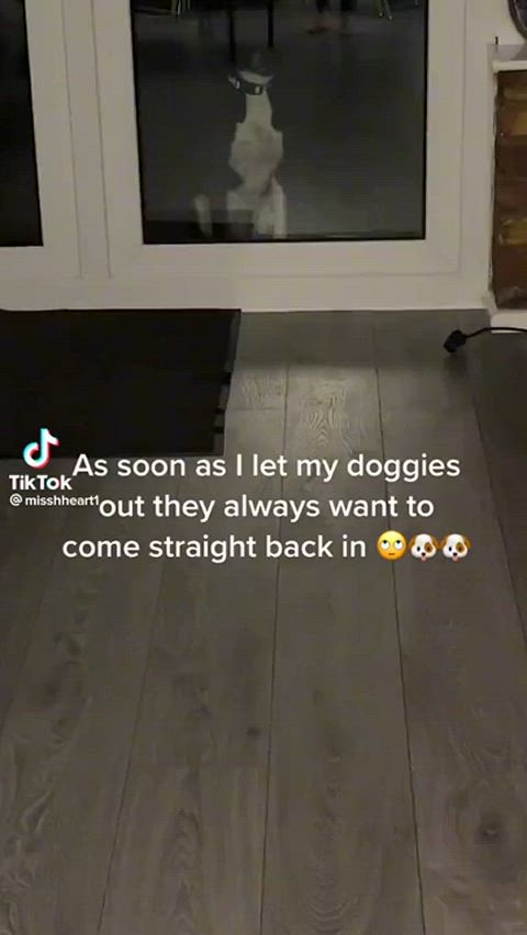boobs flashing nipples nipslip tiktok r/tiktits clip
