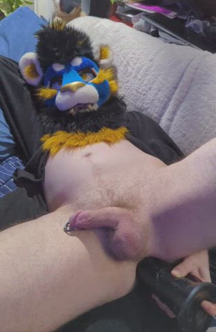 Tummy-bulging horse dick.