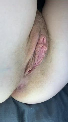 amateur pussy pussy lips pussy spread clip