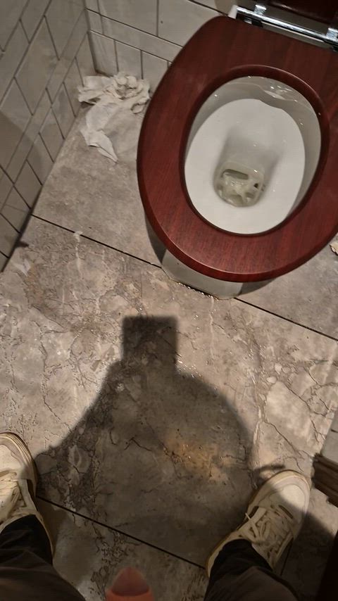 pee peeing piss pissing public toilet clip