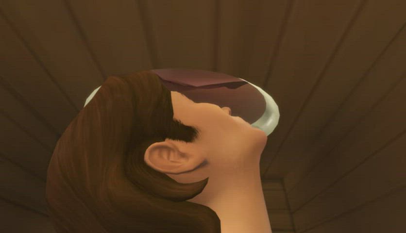 toilet clip