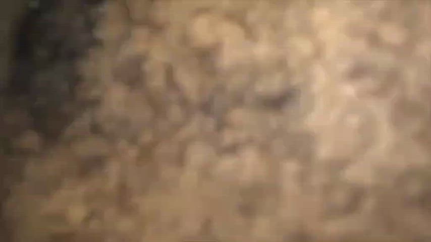 ass asshole bbc big ass booty doggystyle milf nsfw thick clip