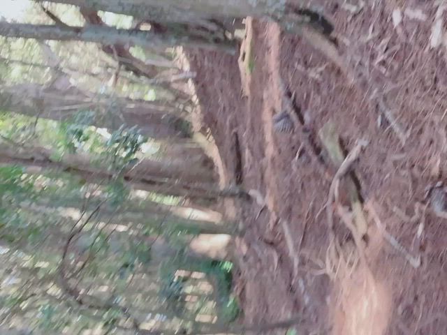 milf outdoor tits hold-the-moan clip