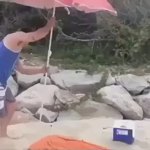 Big Dick Blowjob NSFW clip