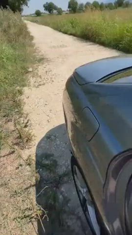 big ass blonde car sex doggystyle outdoor turkish white girl clip