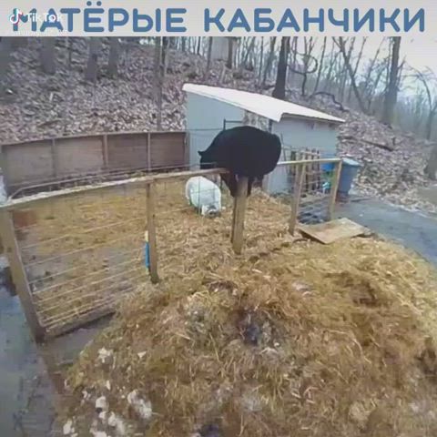 outdoor retro russian clip