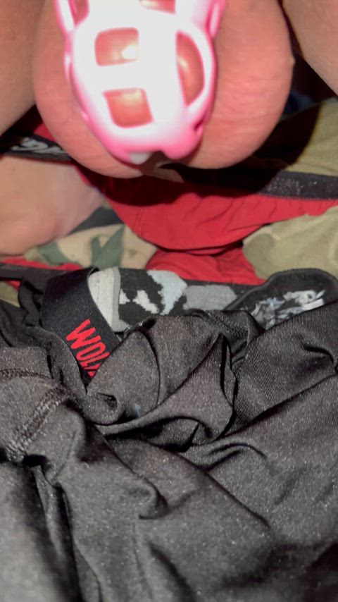 chastity cum gay hands free solo vibrator clip