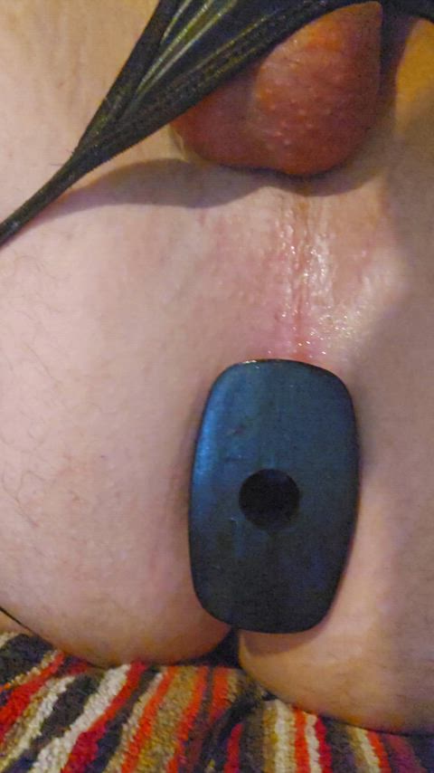 body stockings butt plug chastity gape sissy thong clip