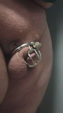 chastity gay watersports clip