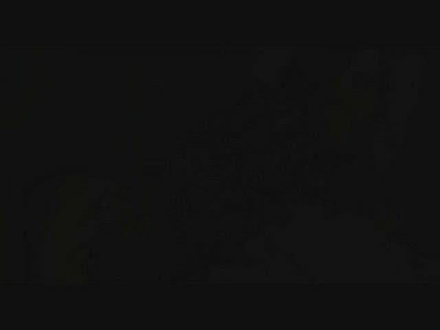 creampie doggystyle interracial clip