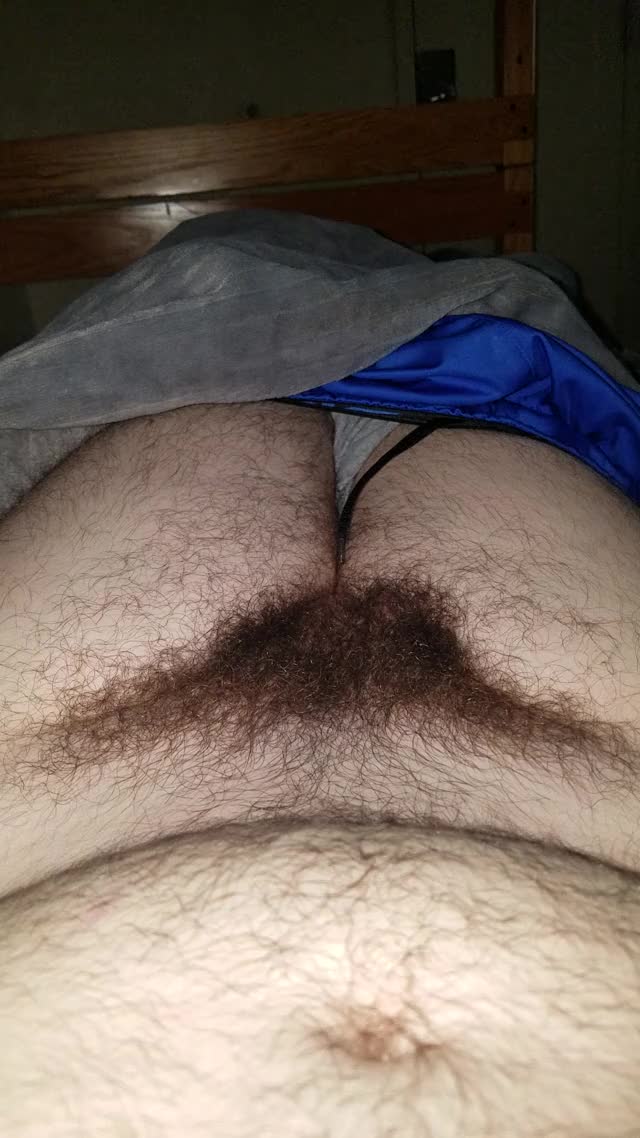 Morning Wood