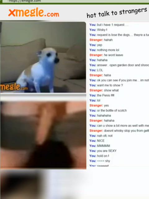 camgirl webcam cam flashing small tits latina clip