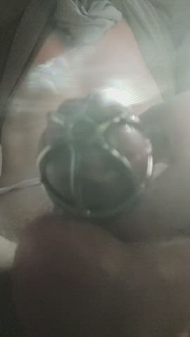 chastity precum sissy clip