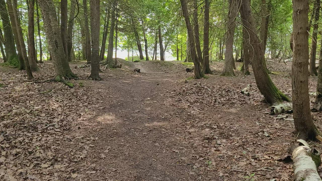 Nude Art Nudist Outdoor clip