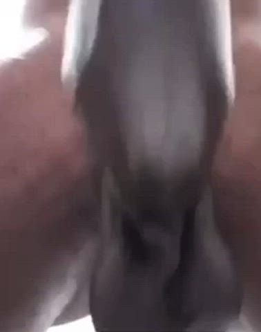 lola reve long hair long tongue clip