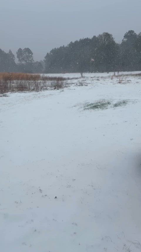 When it snows in Florida โ๏ธ
