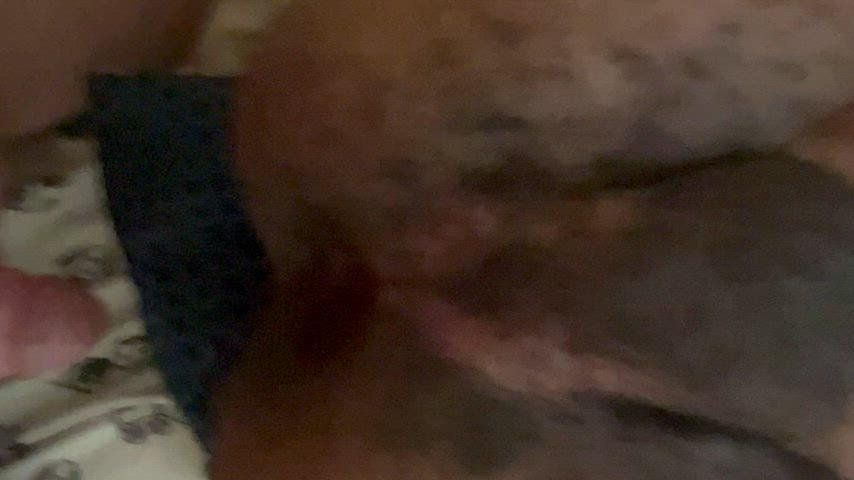 Bear daddy needed his hole π€€