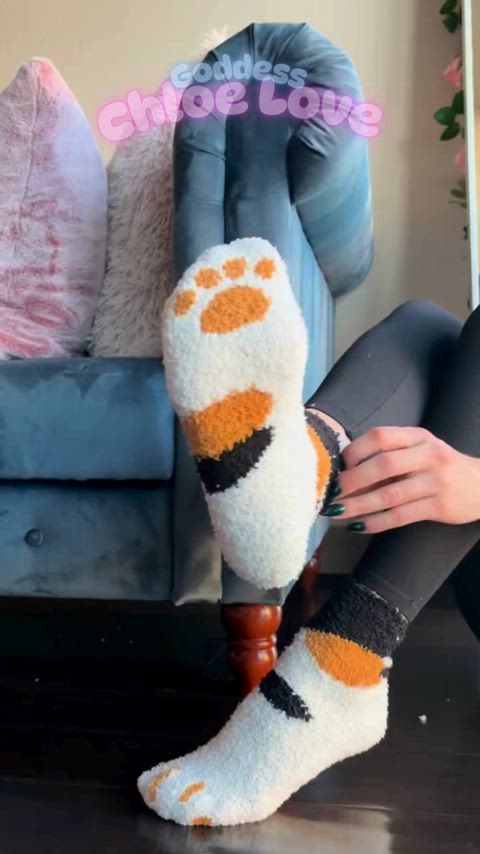 ankle socks knee high socks socks clip
