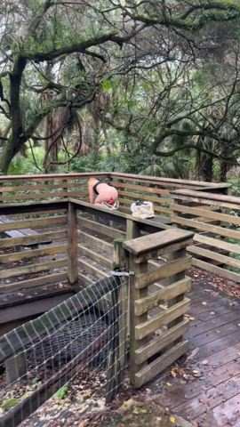 Caught masturbating in the woods by a fellow hiker