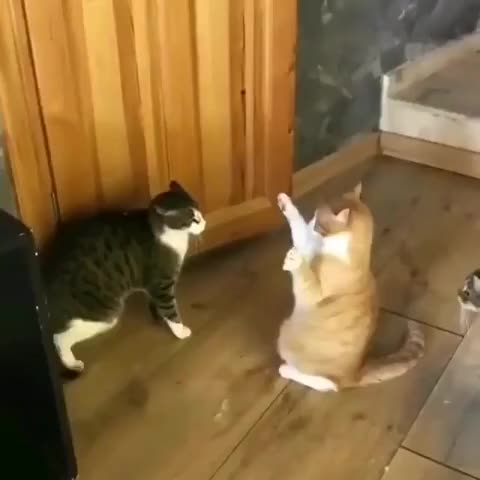 Yuggie