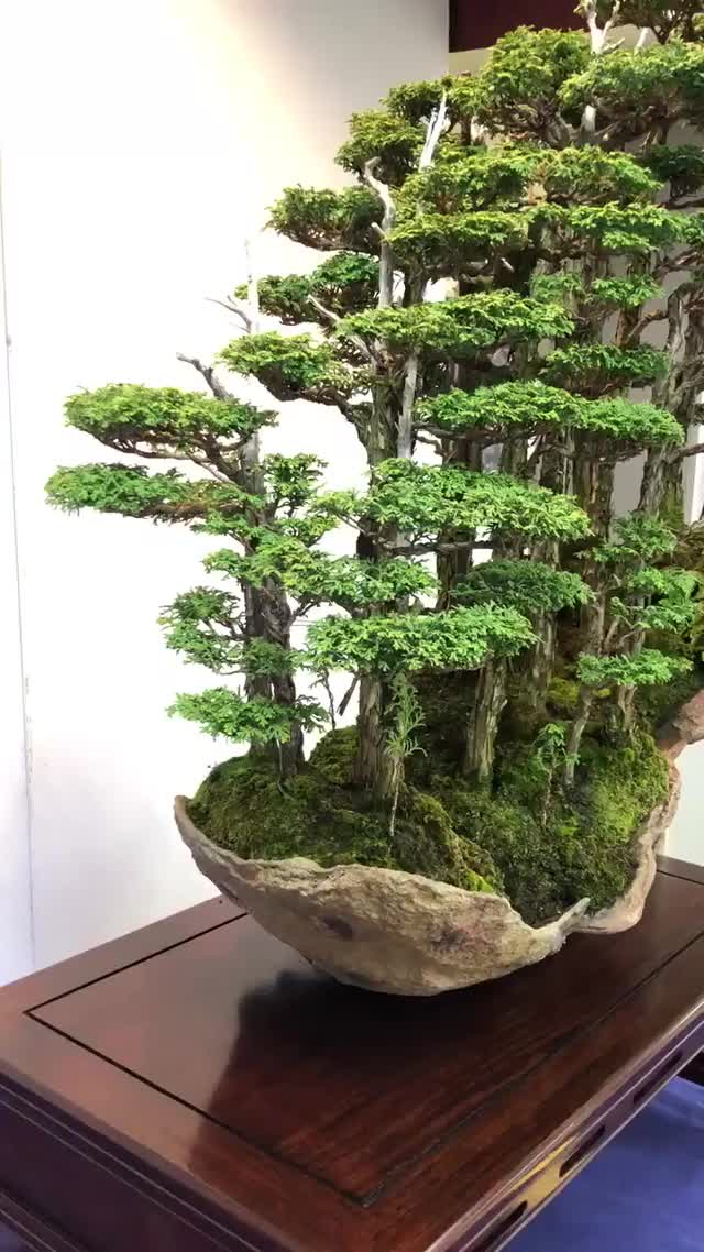 Art clip