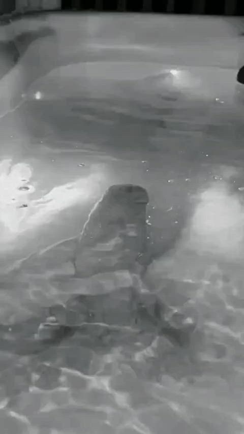 big dick gay thick clip