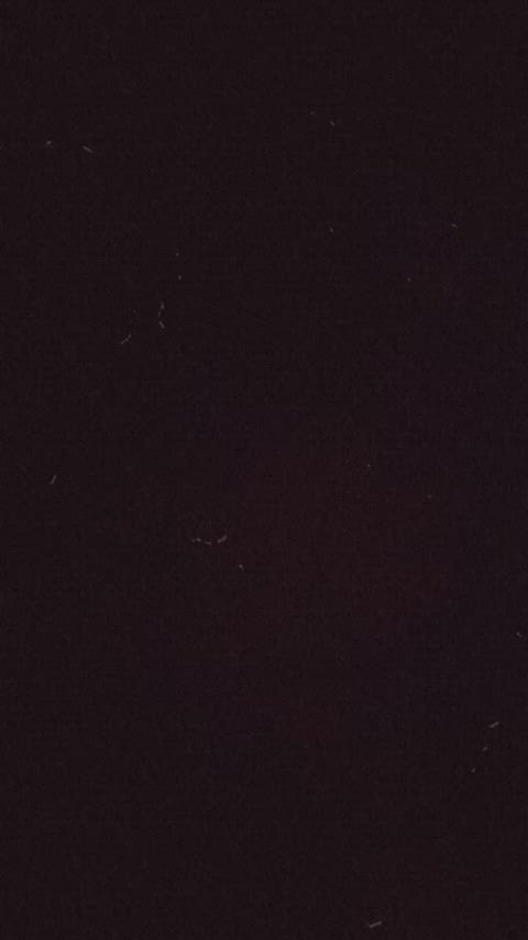 19m ~ peekaboo π«£