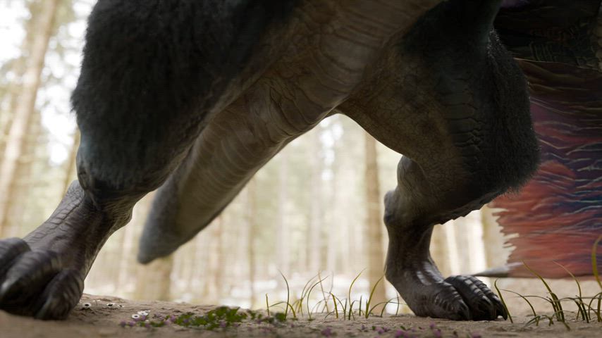 cock furry knot clip