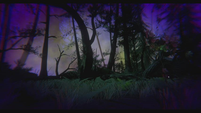 animation elf fantasy clip