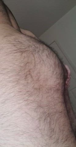 bear gay hairy ass clip