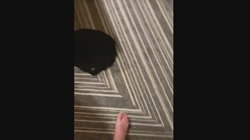 busty cheating creampie family petite pornstar step-sister threesome tiny clip
