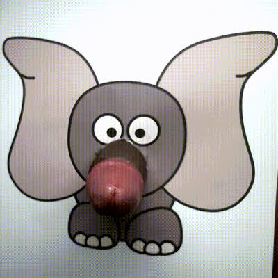 A lost baby elephant