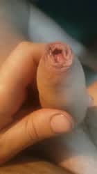 Foreskin Precum Uncut clip