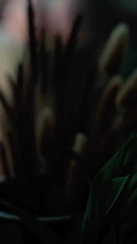 babe cute pokies clip