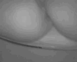 Ass Asshole Hidden Cam Hidden Camera Pee Peeing Piss Pissing Pussy Toilet Voyeur