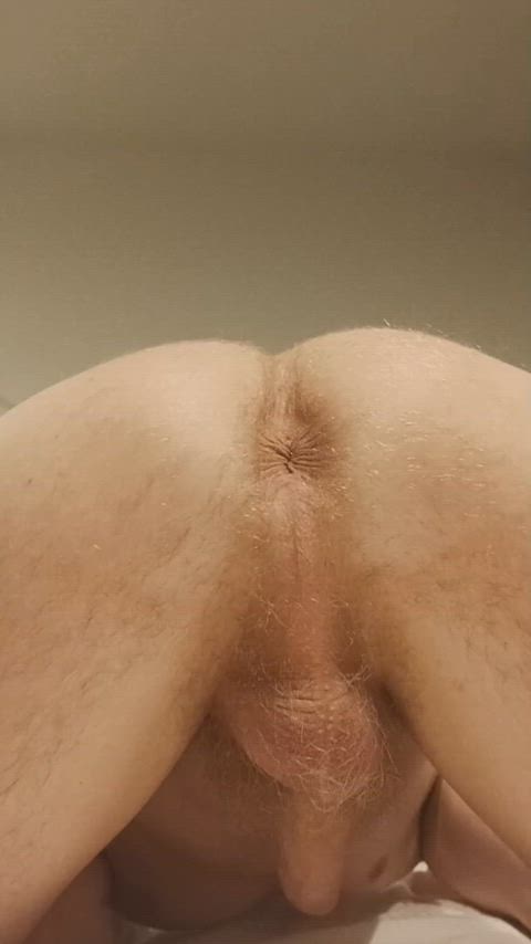 asshole gay hairy ass redhead taint clip