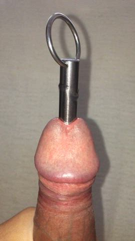 cbt fetish hands free penis sounding stretched stretching clip