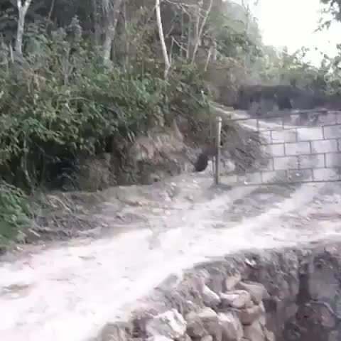 clip
